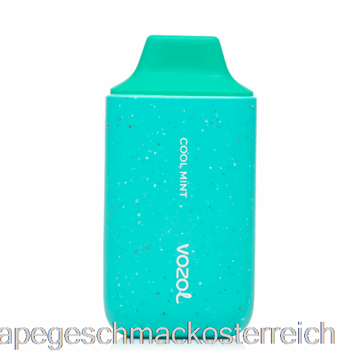Vozol Star 6000 Einweg-Cold-Mint-Vape-Geschmack